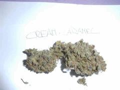 cream caramel (3)