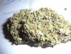 black jack (4)