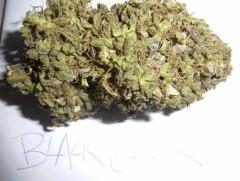 black jack (2)