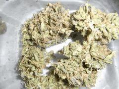 La Musa (4)