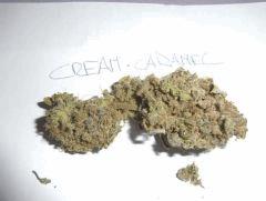 cream caramel (2)