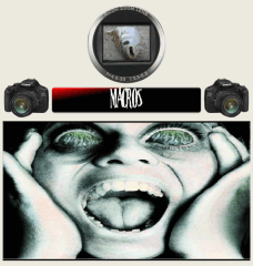 15 macro 1   Copy