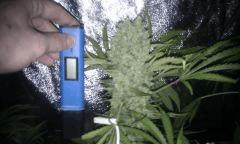IMAG0391