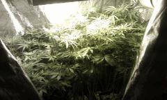 IMAG0226