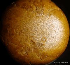 Jelly H 90% BHO (8)