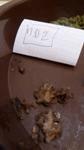Hash (20)