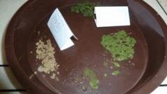 Hash (17)