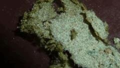 Hash (24)nyl Dcp 38mic