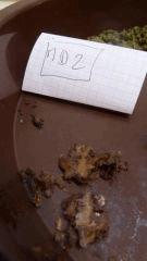 Hash (20)