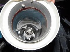 P1080557 (1280x960)