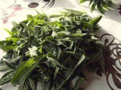 DSCF0977