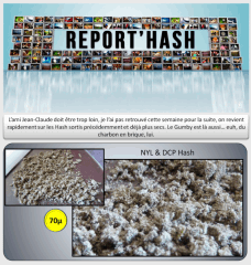 13 hash 1   Copy