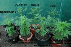 groupe petites 2