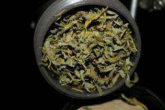 Jasmin BHO