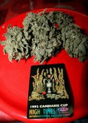 Real Lavender Dampkring Bagseed