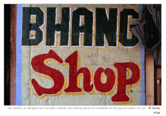 banghshop