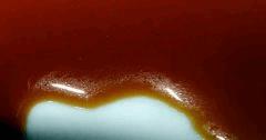 Caramel mou