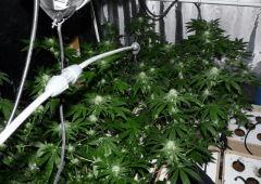 P1090515 (1280x960)