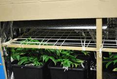 F 9 (5)