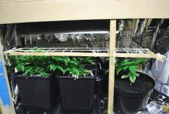F 9 (6)