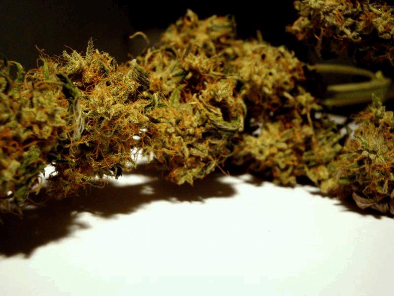 Mescaline_Pure