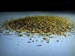 Extraction Résine - Bud Bluematic