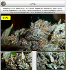 4 curing 1   Copy