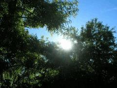Beau temps