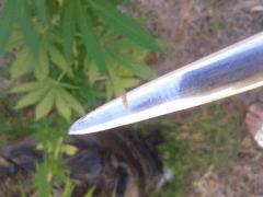 2012 08 07 12.42.25