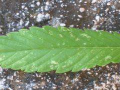 DSCN1580