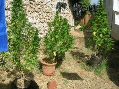 DSCN1557