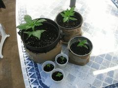 Photo de famille