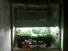 IMG 0573