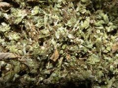 Mix