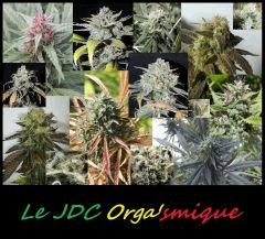 JDC
