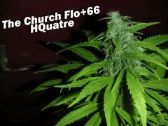 TheChurch