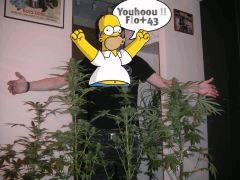 Youhou !