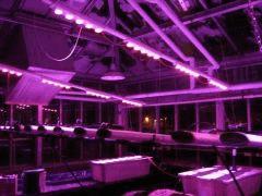 Hydro LED