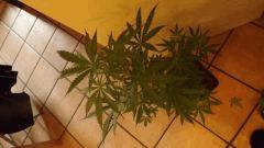 DSCF1571