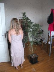 1M80 W.S