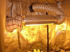 LE COOLTUBE AVEC LA HPS 400WATT