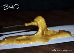 Bho