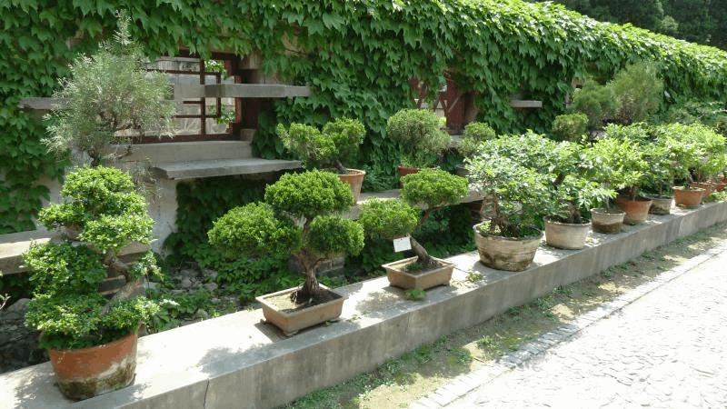 gallery_681336_2066_69225.jpg