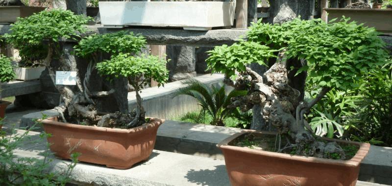 gallery_681336_2066_72778.jpg