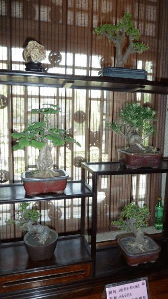 gallery_681336_2074_21681.jpg