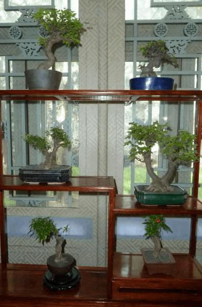 gallery_681336_2074_34322.jpg