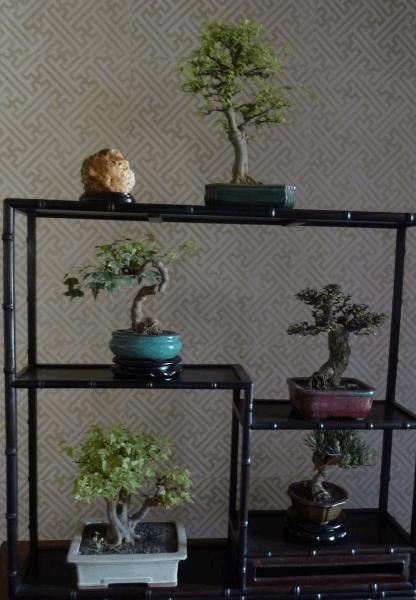 gallery_681336_2074_8056.jpg