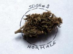 sdgh2n