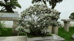 P1070457