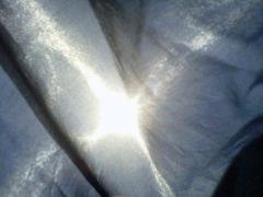 IMG 20120818 006